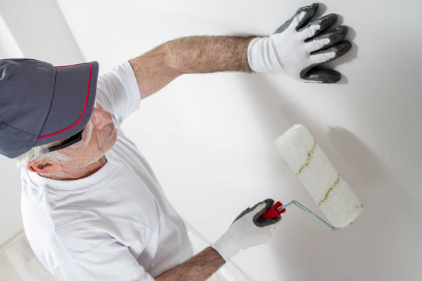 Best Mold-Related Health Consultation  in Olney, IL