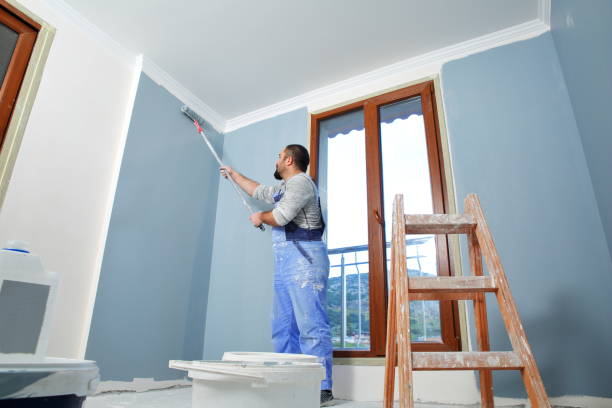 Mold Remediation for Vacation Homes in Olney, IL