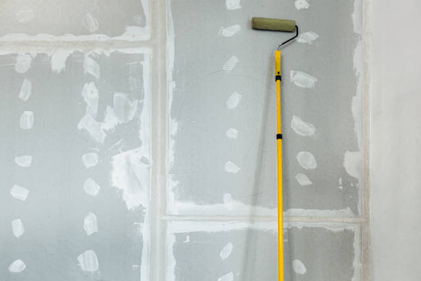Best Mold Prevention Services  in Olney, IL