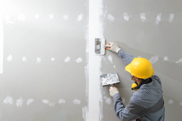 Best Mold Remediation for Vacation Homes  in Olney, IL