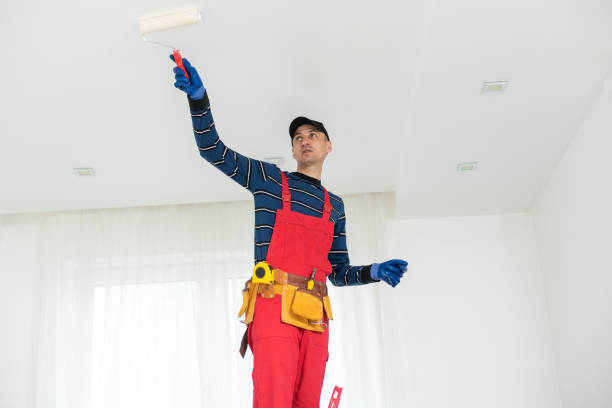 Best Biohazard Mold Removal  in Olney, IL